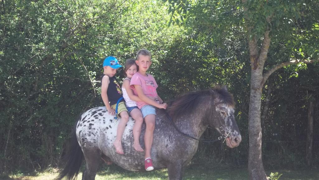 Holiday home Du Colombier *